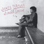 James Brown - In The Jungle Groove : l'essence du funk intemporel