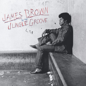James Brown - In The Jungle Groove : l'essence du funk intemporel