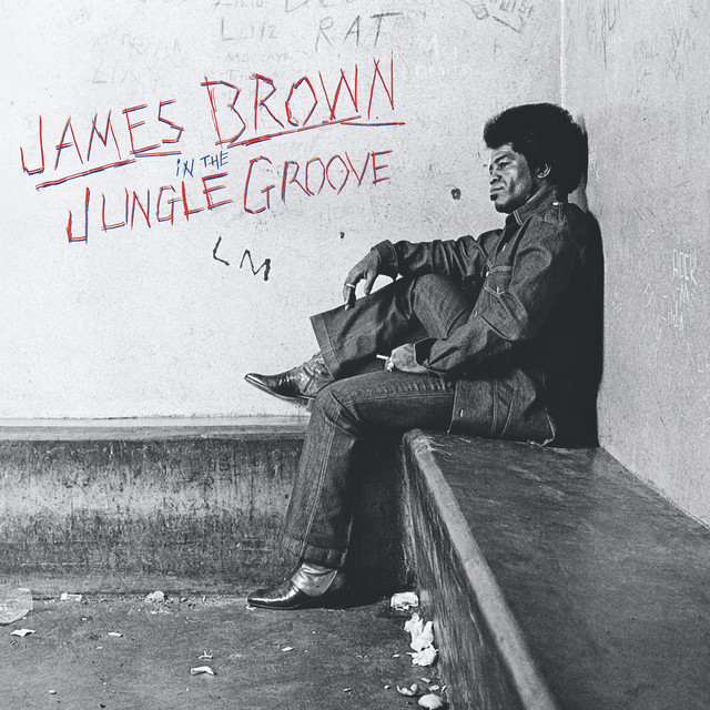 James Brown – In The Jungle Groove : l’essence du funk intemporel
