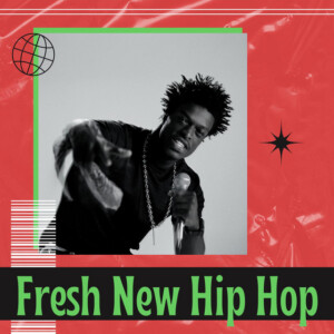 Découverte de l&rsquo;album Fresh New Hip Hop : le son qui monte en 2024